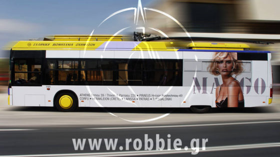 trolley mango (2)